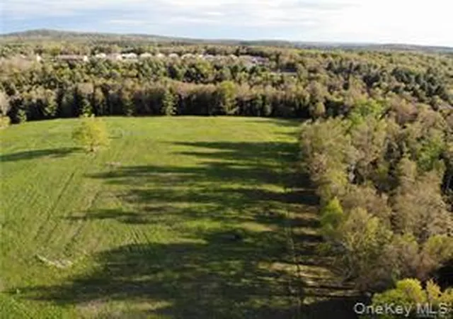 5th image of 00 Benmosche Rd, Thompson, NY 12701 | MLS# 1036455