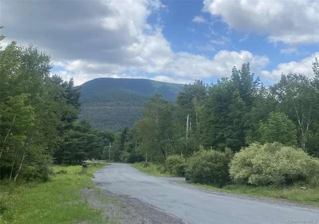 Photo 15 of Land for sale at 140 Arbor Rd, Lexington, NY 12452 | MLS# 1036886 | Listing updated on 2026-08-11