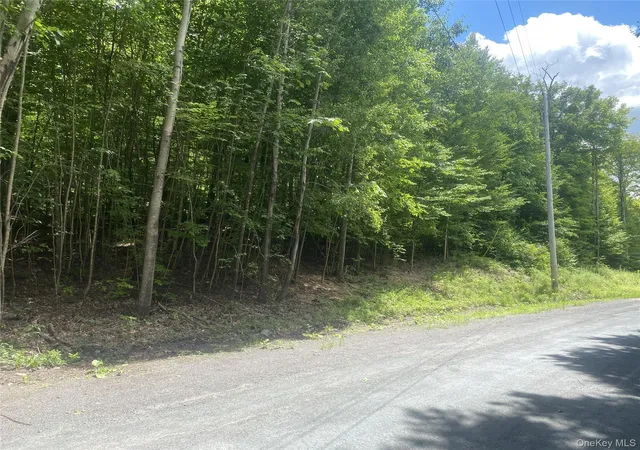 Photo 2 of Land for sale at 140 Arbor Rd, Lexington, NY 12452 | MLS# 1036886 | Listing updated on 2026-08-11