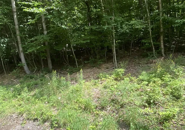 Photo 3 of Land for sale at 140 Arbor Rd, Lexington, NY 12452 | MLS# 1036886 | Listing updated on 2026-08-11