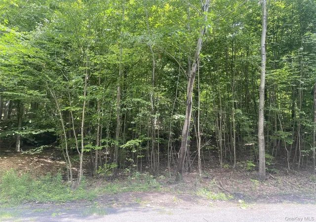 Photo 4 of Land for sale at 140 Arbor Rd, Lexington, NY 12452 | MLS# 1036886 | Listing updated on 2026-08-11