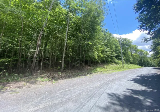 Photo 5 of Land for sale at 140 Arbor Rd, Lexington, NY 12452 | MLS# 1036886 | Listing updated on 2026-08-11