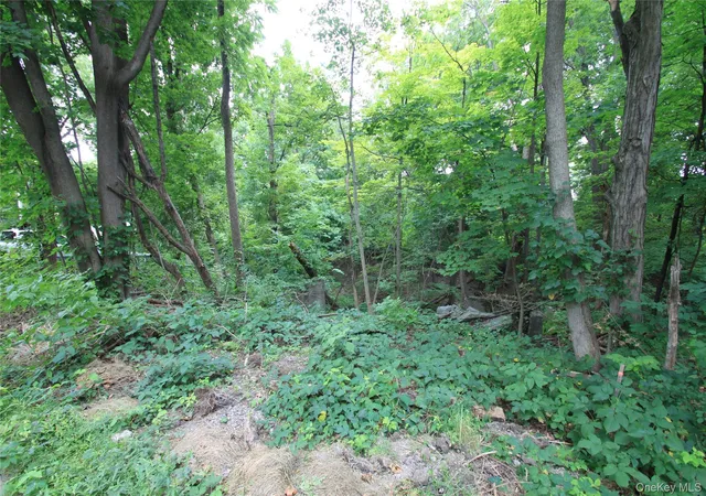 1st image of 31 33 Spring St, Hudson, NY 12534 | MLS# 1037086