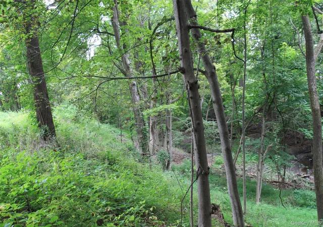 Photo 4 of Sale Pending at 31-33 Spring St, Hudson, NY 12534 | MLS# 1037086 | Listing updated on 2026-10-10