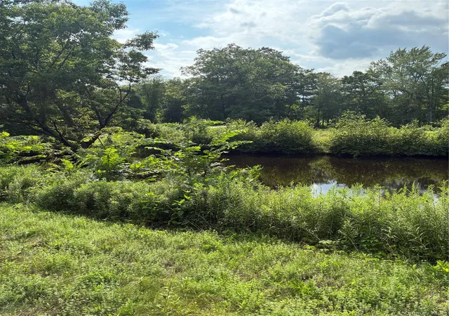 3rd image of 207 Pleasantvale Rd, Clermont, NY 12583 | MLS# 1037427