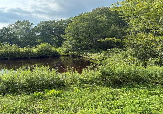 4th image of 207 Pleasantvale Rd, Clermont, NY 12583 | MLS# 1037427