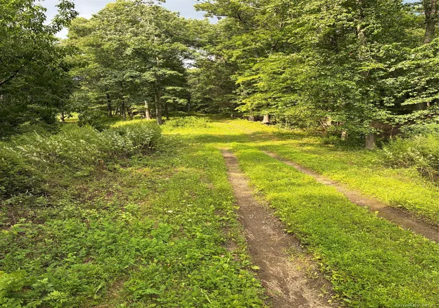 5th image of 207 Pleasantvale Rd, Clermont, NY 12583 | MLS# 1037427