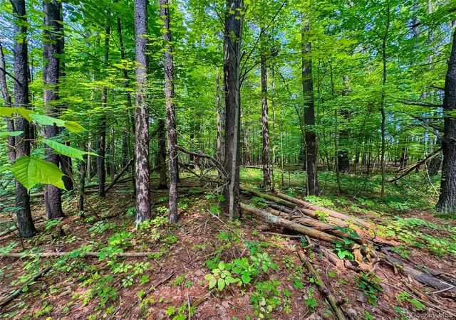 Photo 4 of Land for sale at 4480 State Route 23, Cairo, NY 12413 | MLS# 1037509 | Listing updated on 2026-08-12