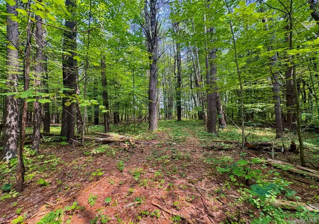 Photo 5 of Land for sale at 4480 State Route 23, Cairo, NY 12413 | MLS# 1037509 | Listing updated on 2026-08-12