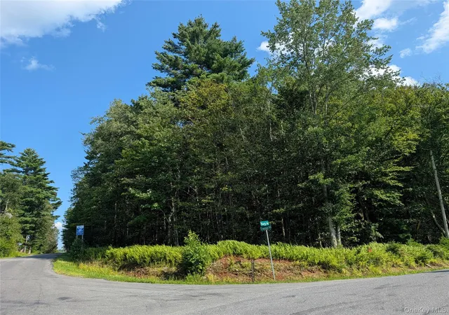 2nd image of Harris Rd, Thompson, NY 12742 | MLS# 1037755