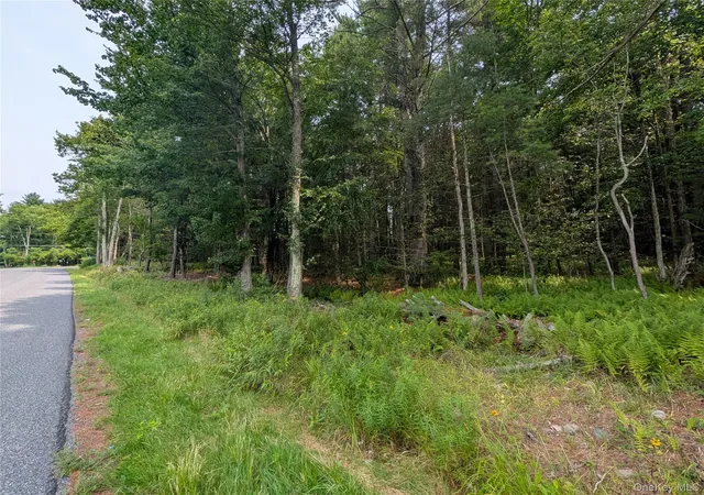 3rd image of Harris Rd, Thompson, NY 12742 | MLS# 1037755