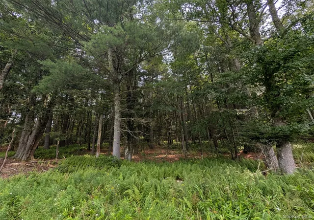 4th image of Harris Rd, Thompson, NY 12742 | MLS# 1037755