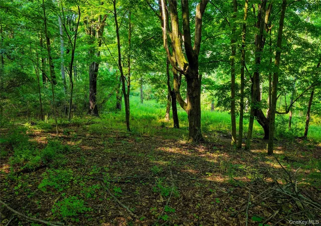 19th image of 2620 State Route 9h, Kinderhook, NY 12106 | MLS# 1037996
