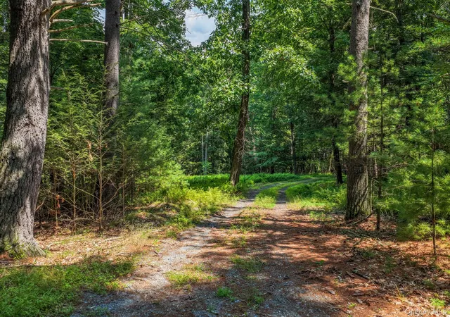 2nd image of Lot 551 Swanerbury Rd, Lumberland, NY 12737 | MLS# 1038145