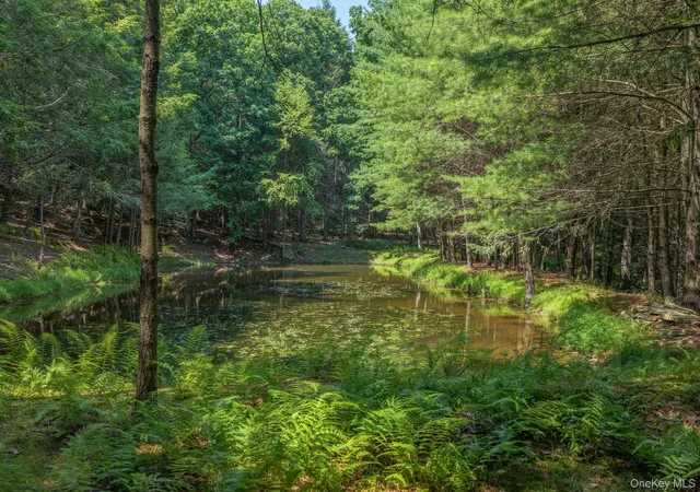 Photo 3 of Land for sale at Lot 551 Swanerbury Rd, Lumberland, NY 12737 | MLS# 1038145 | Listing updated on 2026-08-19