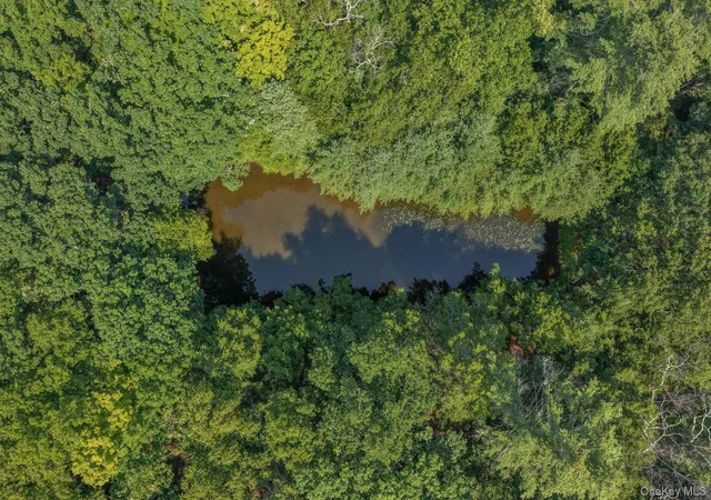 Photo 3 of Land for sale at Lot 551 Swanerbury Rd, Lumberland, NY 12737 | MLS# 1038145 | Listing updated on 2026-08-19