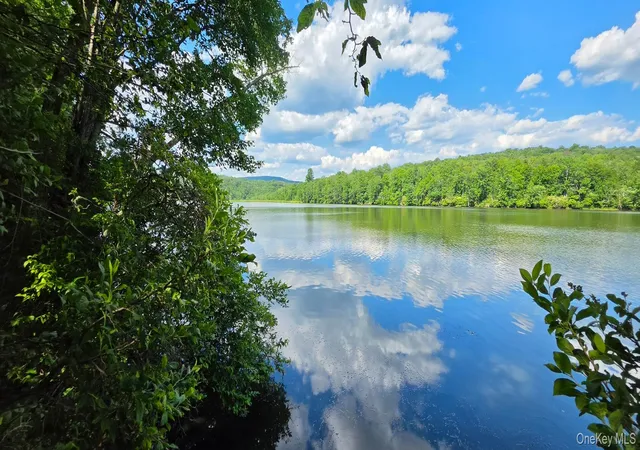 1st image of Shore Rd, Liberty, NY 12783 | MLS# 1038199