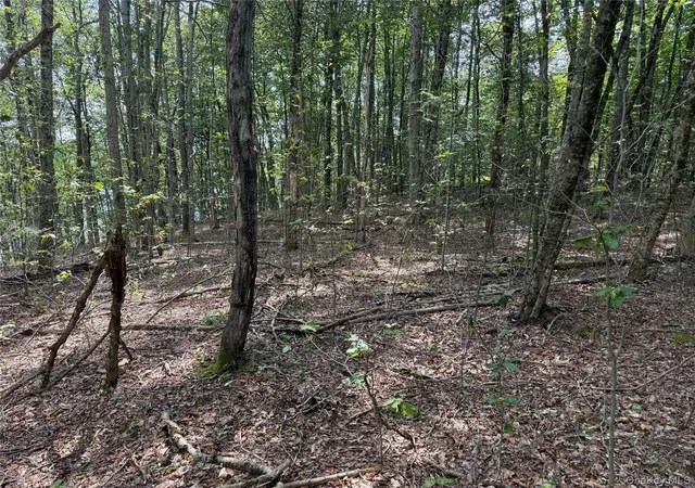 12th image of Shore Rd, Liberty, NY 12783 | MLS# 1038199