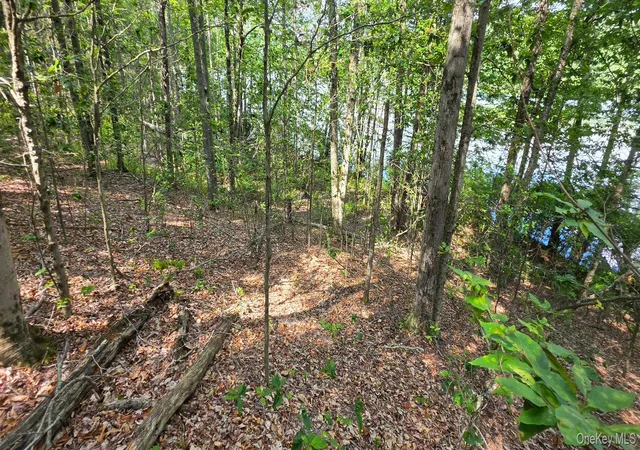 3rd image of Shore Rd, Liberty, NY 12783 | MLS# 1038199