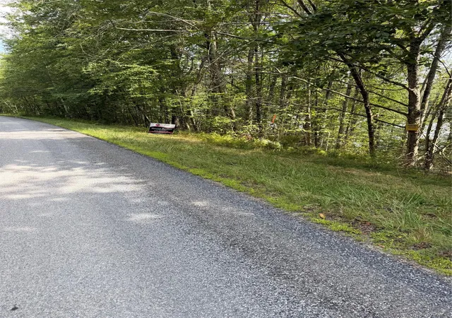 4th image of Shore Rd, Liberty, NY 12783 | MLS# 1038199
