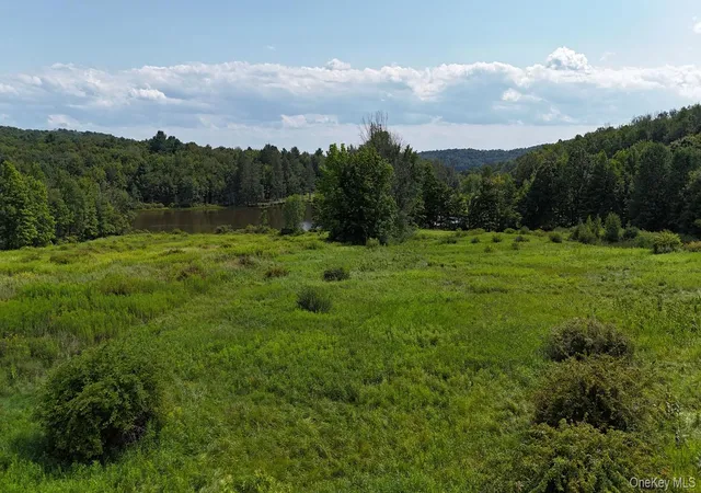 3rd image of Lot 15 Meadow Ln, Fremont, NY 12736 | MLS# 1038451