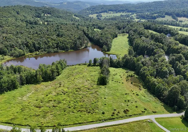 5th image of Lot 15 Meadow Ln, Fremont, NY 12736 | MLS# 1038451