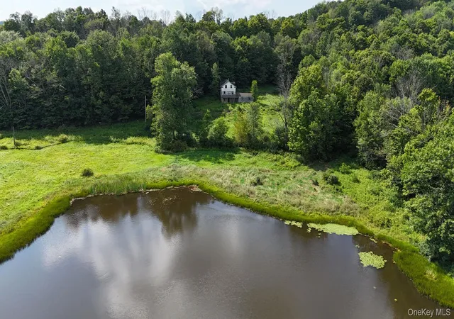 Photo 2 of Land for sale at Waterfront Lot 14 Meadow Ln, Fremont, NY 12736 | MLS# 1038485 | Listing updated on 2026-10-07