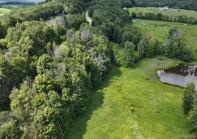 Photo 3 of Land for sale at Waterfront Lot 14 Meadow Ln, Fremont, NY 12736 | MLS# 1038485 | Listing updated on 2026-09-02