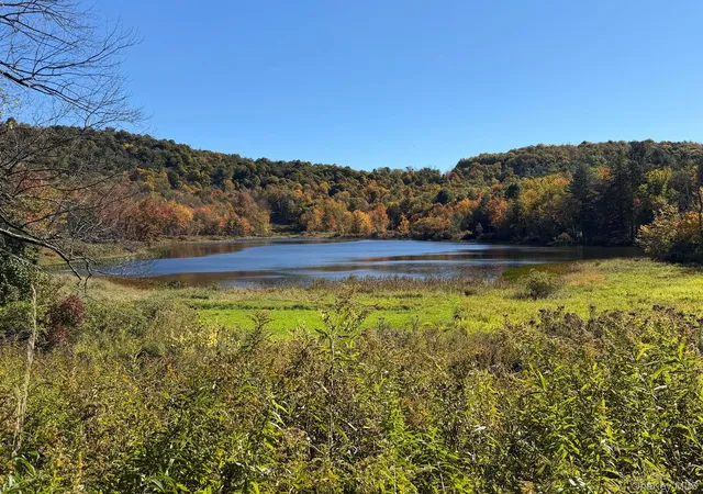 Photo 32 of Land for sale at Waterfront Lot 14 Meadow Ln, Fremont, NY 12736 | MLS# 1038485 | Listing updated on 2026-10-07