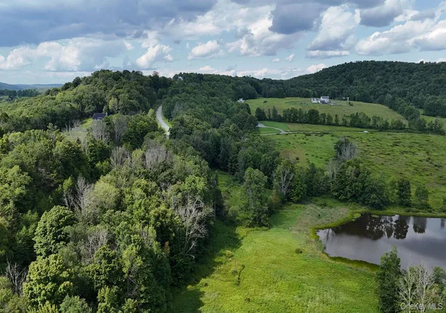 Photo 5 of Land for sale at Waterfront Lot 14 Meadow Ln, Fremont, NY 12736 | MLS# 1038485 | Listing updated on 2026-09-02