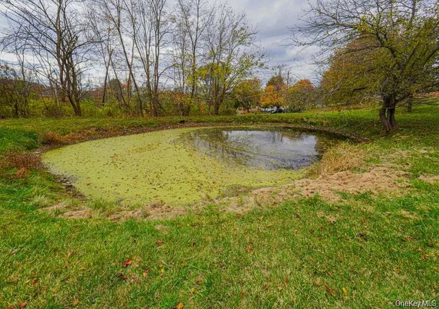 43rd image of 333 Arcadia Road, Goshen, NY 10924 | MLS# 1038634