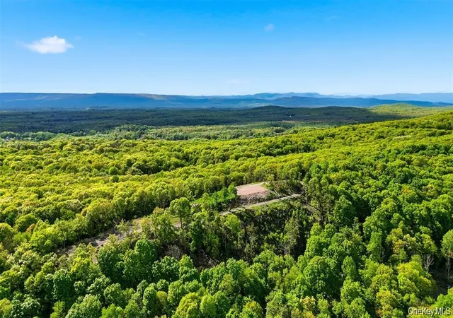 3rd image of 229 Mount Zion Rd, Marlboro, NY 12542 | MLS# 1038702
