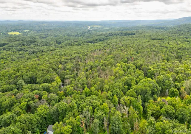 3rd image of Lot 1 Pantelop Rd, Mamakating, NY 12790 | MLS# 1038721