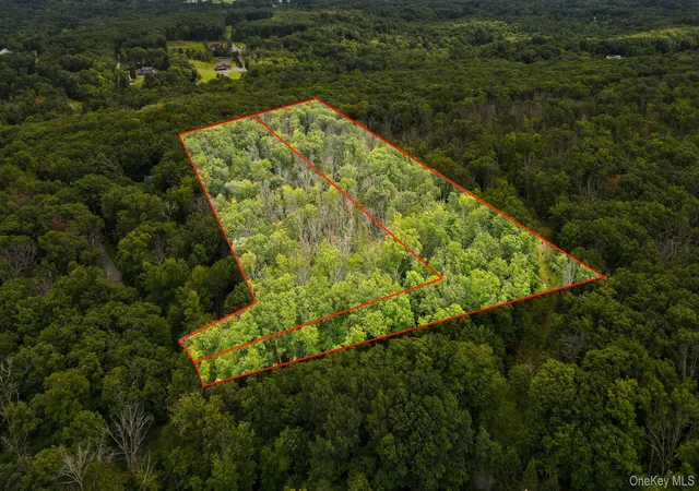 4th image of Lot 1 Pantelop Rd, Mamakating, NY 12790 | MLS# 1038721