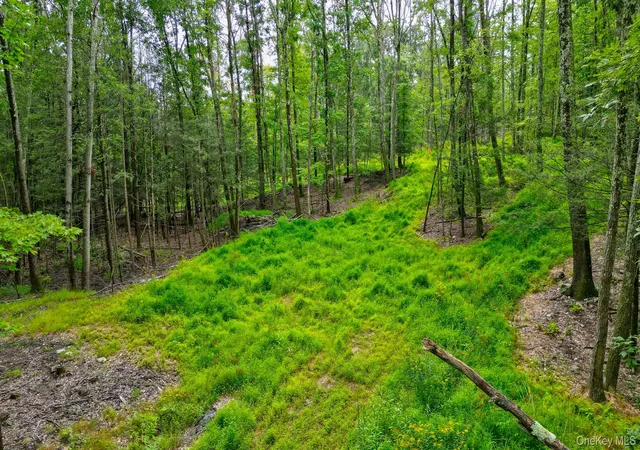 5th image of Lot 1 Pantelop Rd, Mamakating, NY 12790 | MLS# 1038721