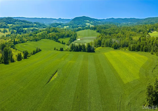 Photo 1 of Land for sale at 5246 Route 22, Amenia, NY 12501 | MLS# 1038787 | Listing updated on 2026-08-19