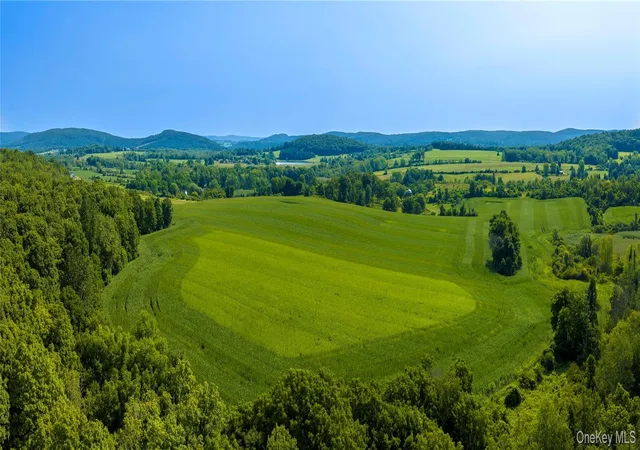 Photo 3 of Land for sale at 5246 Route 22, Amenia, NY 12501 | MLS# 1038787 | Listing updated on 2026-08-19