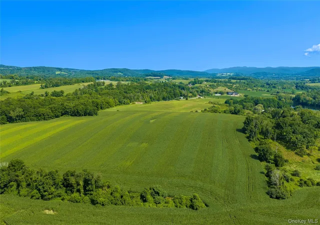 Photo 3 of Land for sale at 5246 Route 22, Amenia, NY 12501 | MLS# 1038787 | Listing updated on 2026-08-19