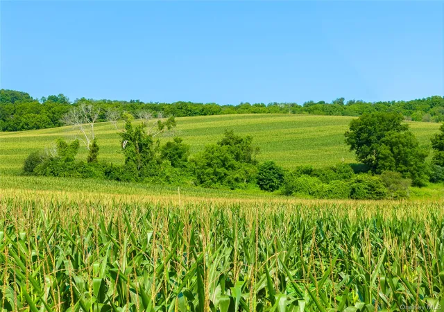 Photo 4 of Land for sale at 5246 Route 22, Amenia, NY 12501 | MLS# 1038787 | Listing updated on 2026-08-19