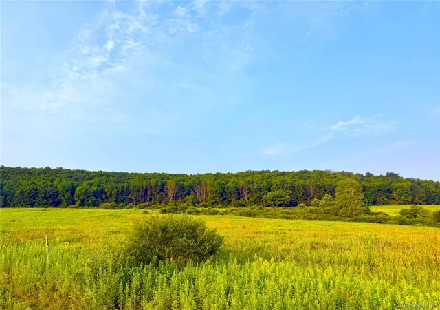 Photo 1 of Land for sale at 299 Walt Phillips, Guilford, NY 13460 | MLS# 1039104 | Listing updated on 2026-08-18