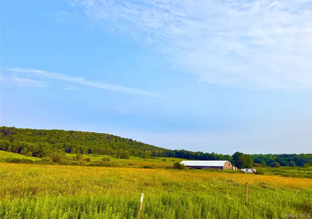 Photo 2 of Land for sale at 299 Walt Phillips, Guilford, NY 13460 | MLS# 1039104 | Listing updated on 2026-08-18