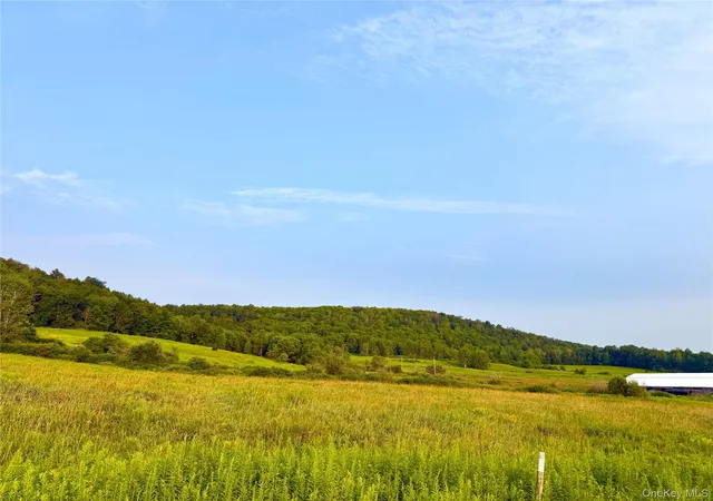 Photo 3 of Land for sale at 299 Walt Phillips, Guilford, NY 13460 | MLS# 1039104 | Listing updated on 2026-08-18