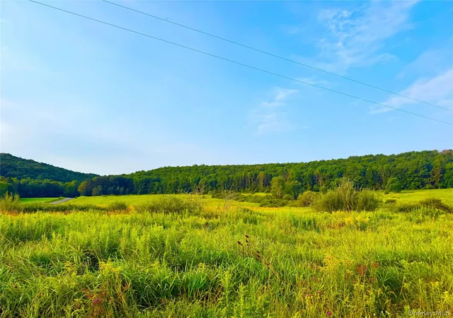 Photo 3 of Land for sale at 299 Walt Phillips, Guilford, NY 13460 | MLS# 1039104 | Listing updated on 2026-08-18