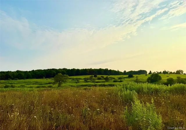 Photo 4 of Land for sale at 299 Walt Phillips, Guilford, NY 13460 | MLS# 1039104 | Listing updated on 2026-08-18