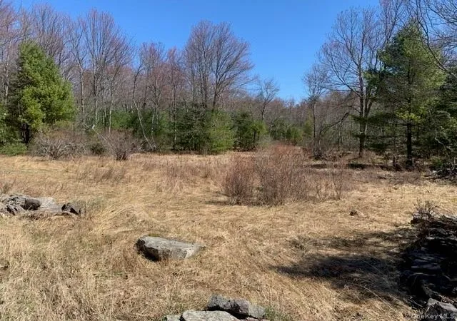 4th image of 255 Wild Turnpike, Thompson, NY 12775 | MLS# 1039349