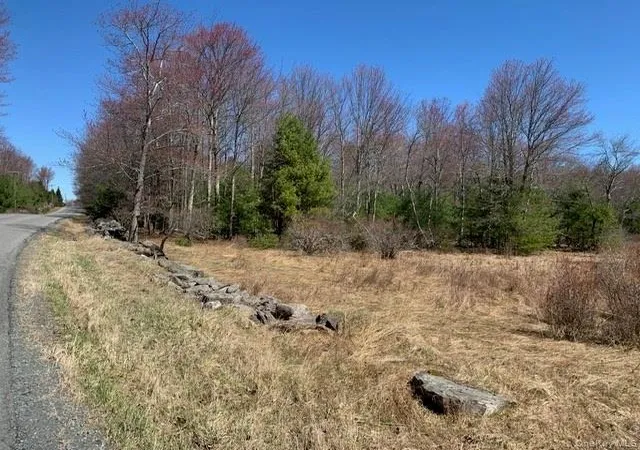 5th image of 255 Wild Turnpike, Thompson, NY 12775 | MLS# 1039349