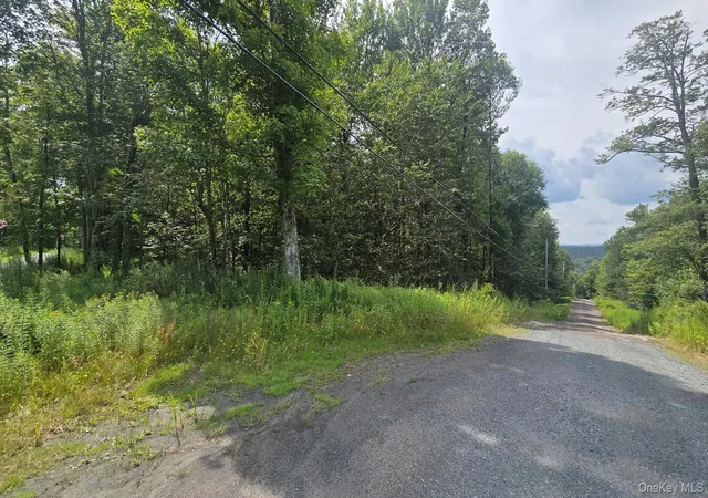 3rd image of Knickerbocker Rd, Rockland, NY 12758 | MLS# 1039494
