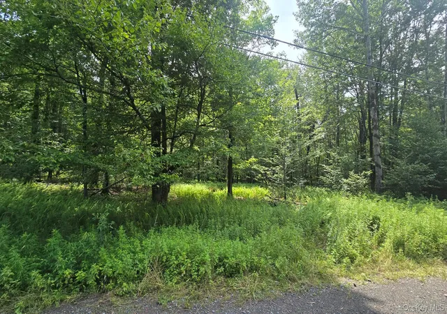 4th image of Knickerbocker Rd, Rockland, NY 12758 | MLS# 1039494