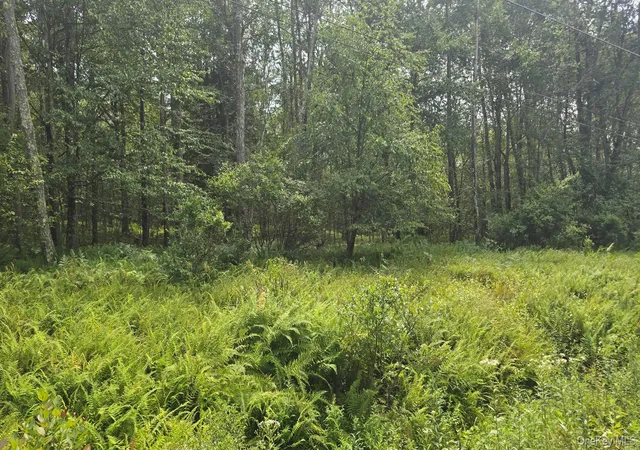 5th image of Knickerbocker Rd, Rockland, NY 12758 | MLS# 1039494