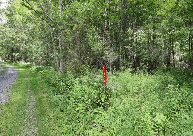 1st image of 7401 Millbrook Rd, Hardenburgh, NY 12406 | MLS# 1039867